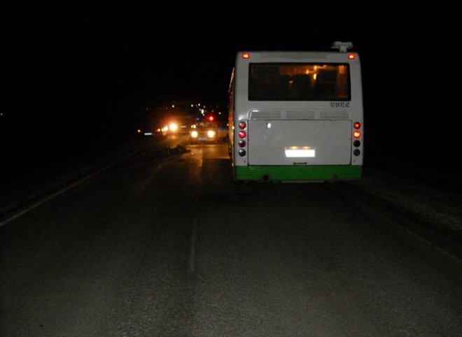 В Михайловском районе автобус насмерть сбил пешехода