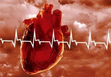 Рязань на 3-м месте по снижению смертности от болезней сердца
