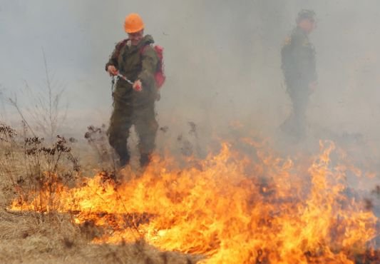 Пожар в поле перекинулся на рязанское село