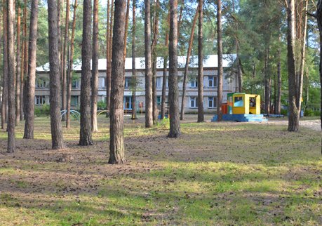 Рязанские лагеря проверят в связи с трагедией в Карелии