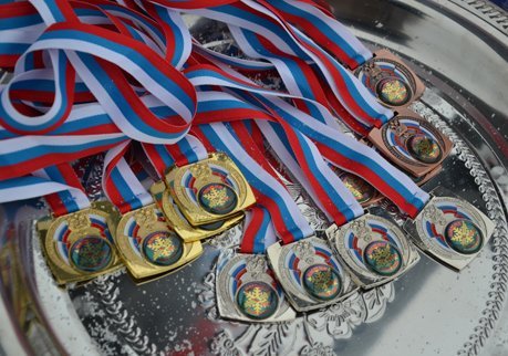 Рязанские спортсмены за год завоевали 962 медали