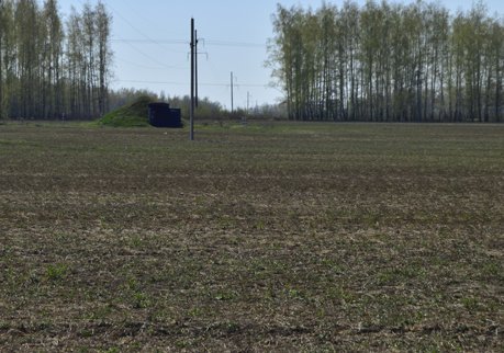 В Рязанской области возделают 90% заброшенных пашен