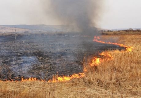 В России запретили сжигать сухую траву