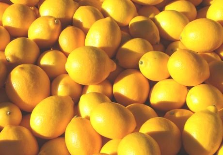 Турция продолжит поставлять лимоны и рыбу в Россию