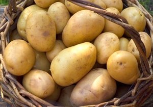 В Рязанской области пройдет «Праздник картошки»