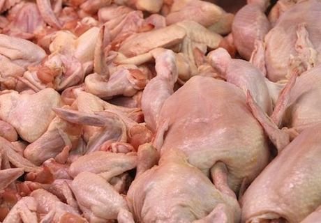 Россельхознадзор Калининграда вернул Турции 108 т курятины