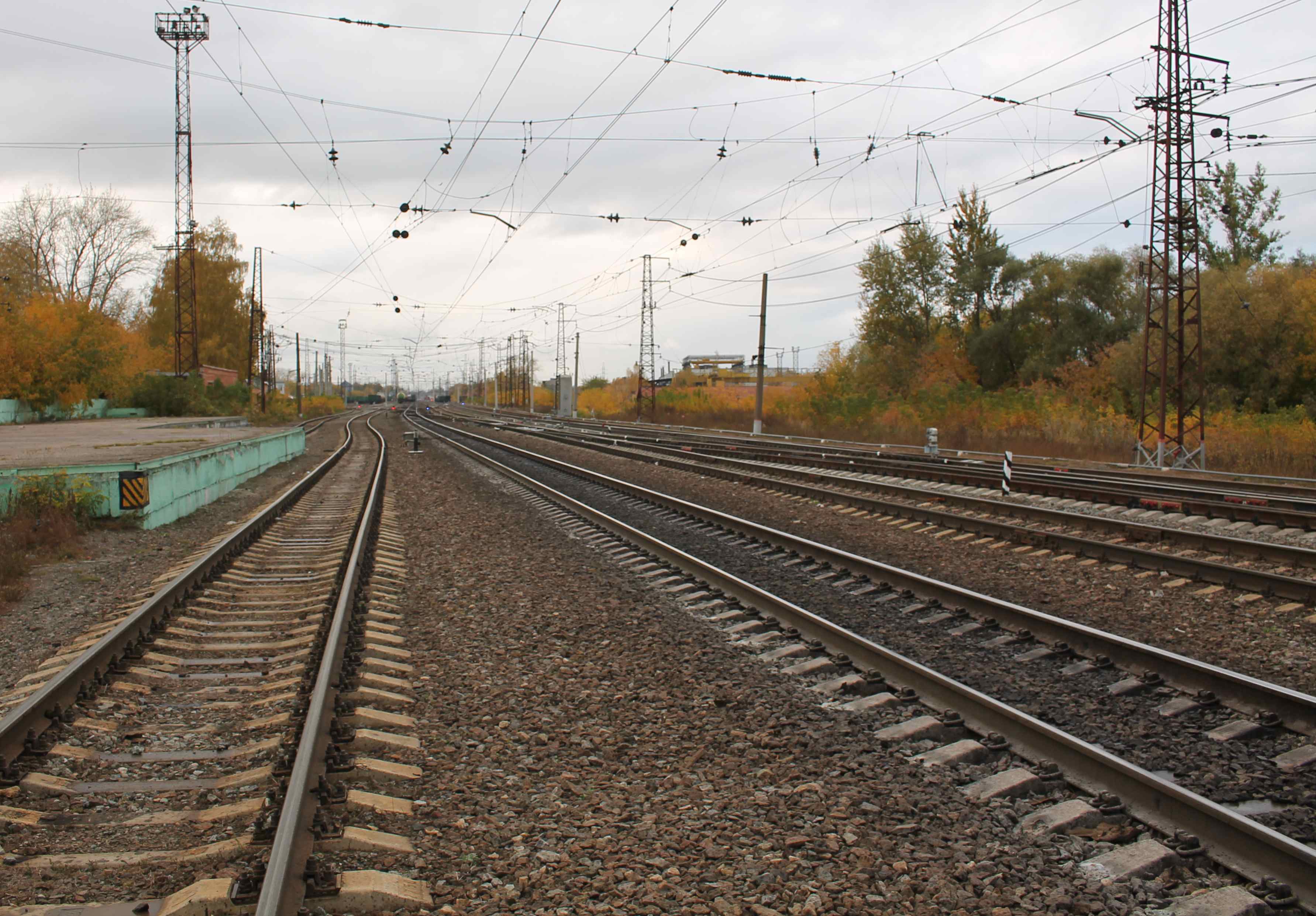 В Рязанской области усилена охрана железной дороги