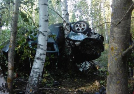 Под Рязанью «Приора» влетела в дерево, водитель погиб