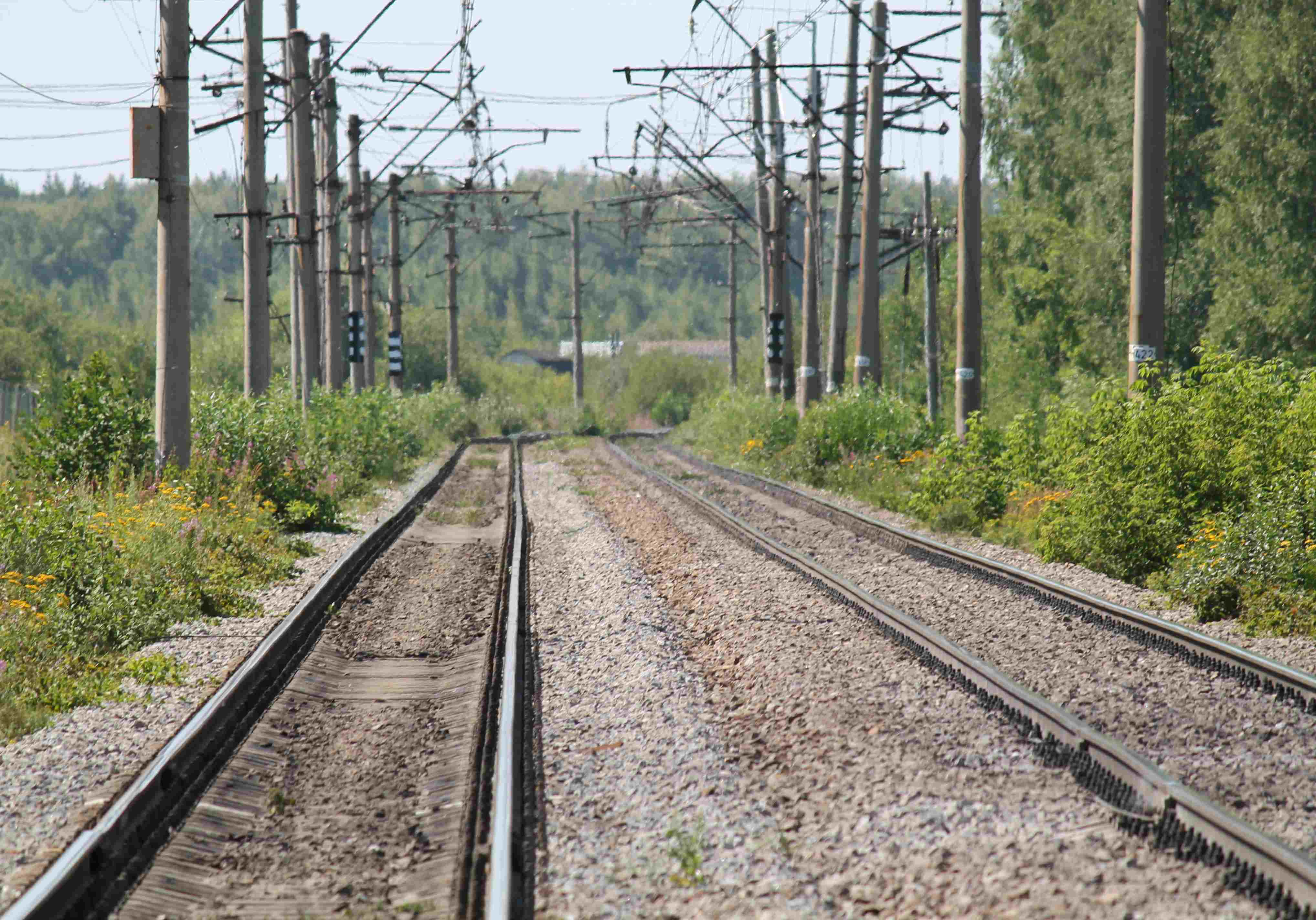 В Рязани изменят расписание электричек до Ряжска