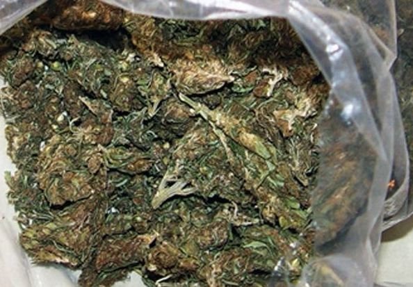 Полицейские изъяли у рязанца 0,5 кг марихуаны