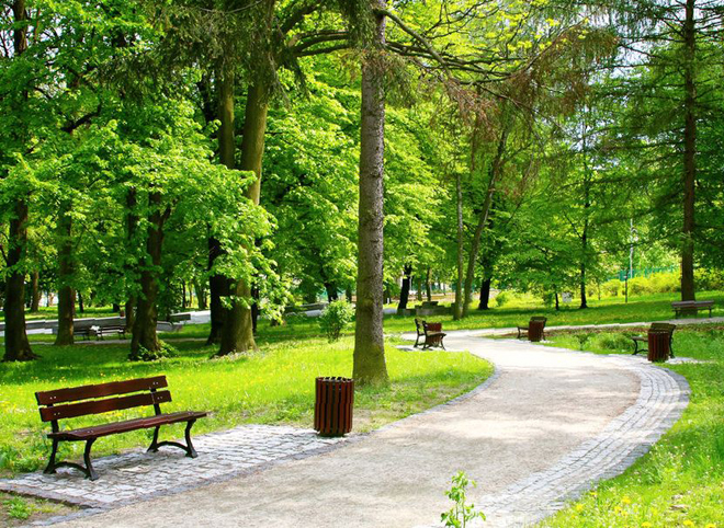 Новый рязанский парк протянется через всю Дашково-Песочню