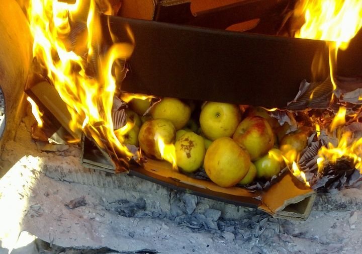 Рязанский предприниматель сжег 144 кг контрафактных яблок