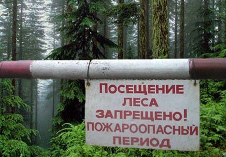 В Рязанской области ограничили въезд транспорта в лес