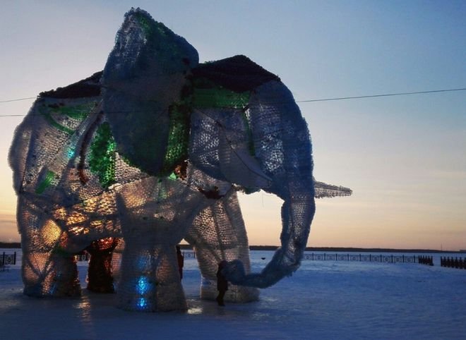 Фото: в Архангельске построили гигантского слона из пластиковых бутылок