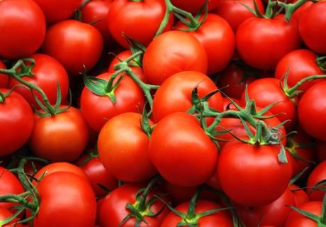 В Краснодаре сожгли 735 кг турецких томатов