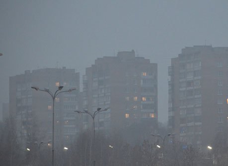 МЧС: в ближайшие часы Рязанскую область накроет густым туманом