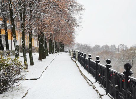 В Рязанской области ожидается снег, на дорогах – гололедица