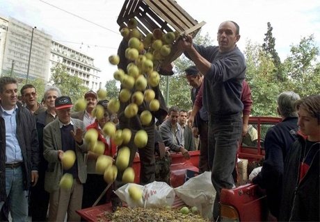 Европейские фермеры потеряли 5,5 млрд евро от эмбарго России