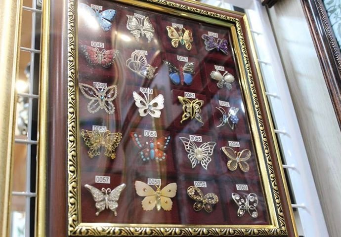 В Касимове появился частный музей «Бабочек и стрекоз»