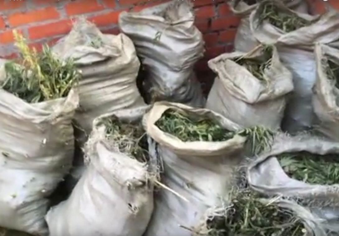 Житель Захаровского района хранил более 20 кг марихуаны