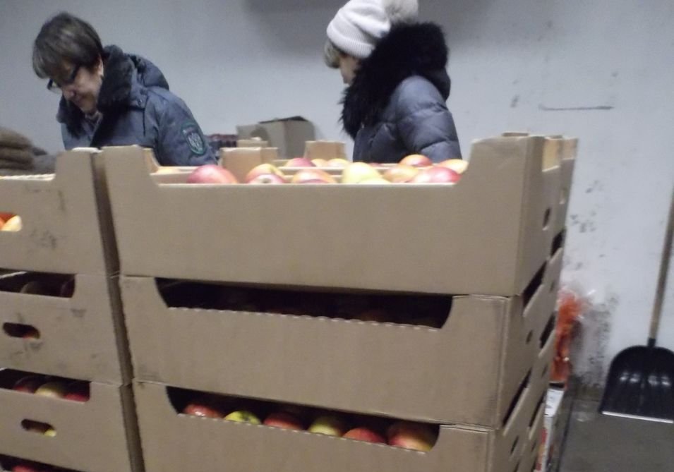 В Рязани уничтожили 770 кг подозрительных яблок