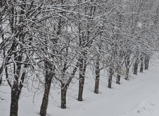 На Пасху в Рязани ожидается снег