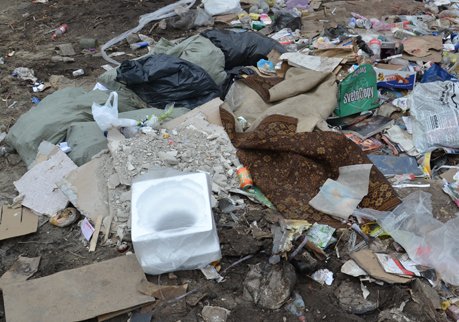 Власти Москвы планируют перерабатывать мусор в Рязани