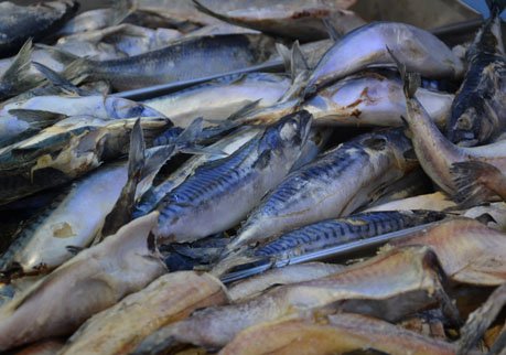 Кабмин ограничил госзакупки импортных мяса и рыбы