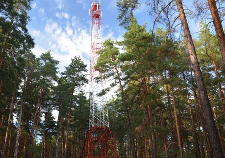 Tele2 и «Билайн» создадут совместную сеть в Рязани