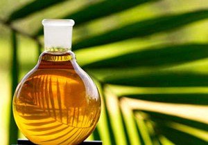 Минсельхоз выступил против запрета пальмового масла