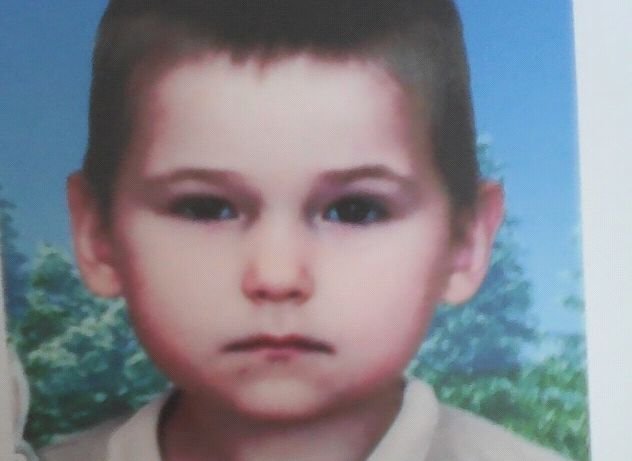 Рязанцев просят помочь в поисках пятилетнего мальчика из Владимирской области