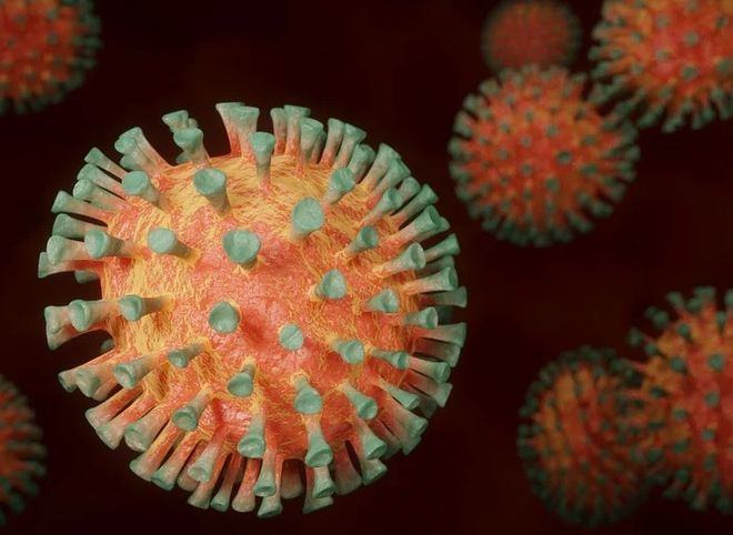 Назван способ уничтожить коронавирус за 25 секунд