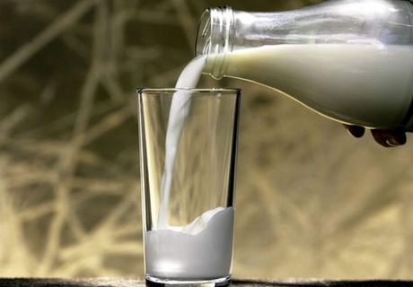 С начала года в Рязани получили 192 тыс. тонн молока