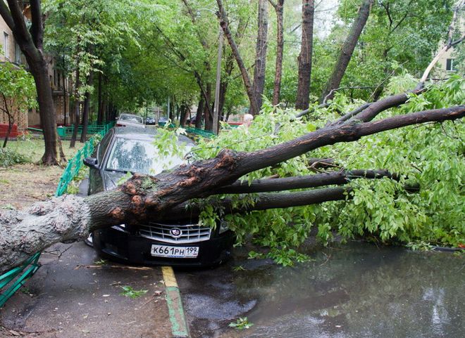 В результате урагана в Москве пострадали более 150 человек