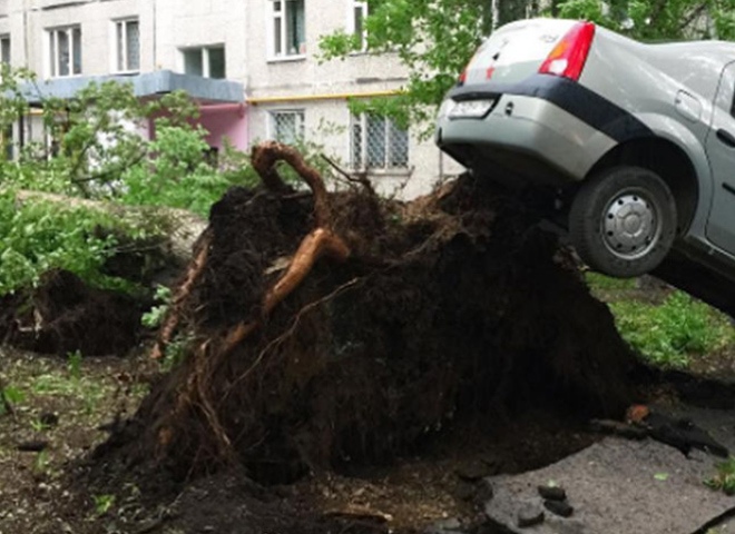 В Москве сообщили об 11 жертвах урагана