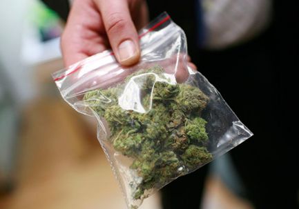 В Рязанской области изъяли более 5 килограммов марихуаны