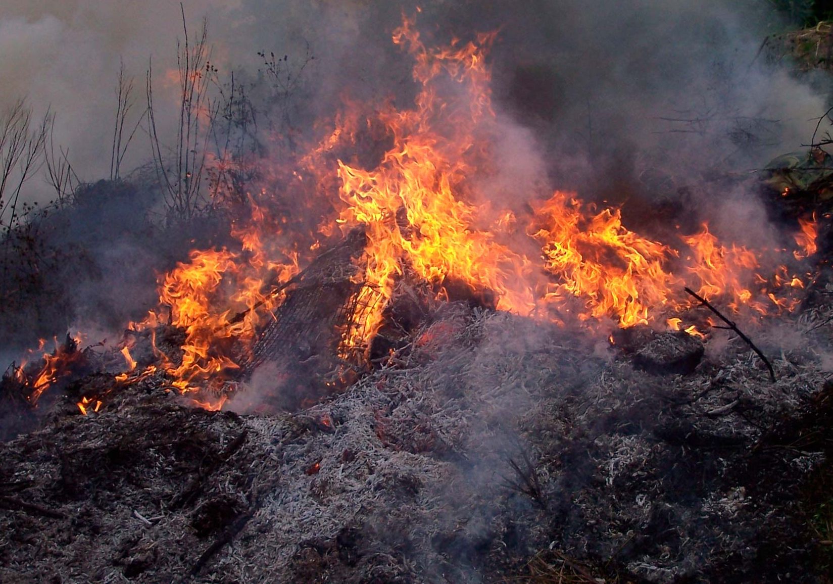 В Амурской области из-за пожаров введен режим ЧС