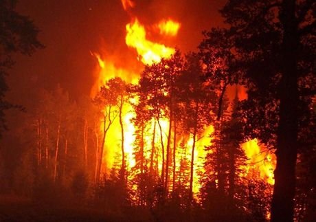МЧС: В мае рязанским лесам грозят торфяные пожары