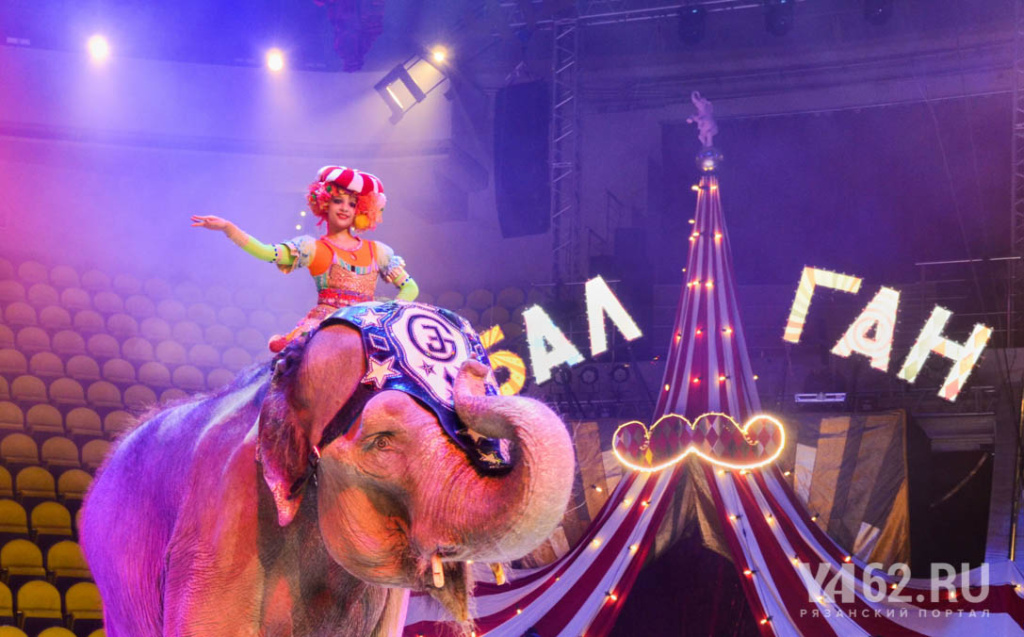 Фото 3 Слон Мара в Рязанском цирке.JPG