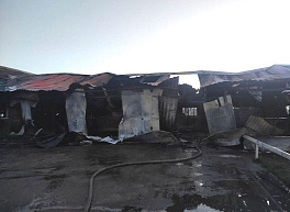 При пожаре на ряжской ферме погибли 16 коров