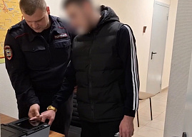 Липецкие полицейские поймали по дороге в Рязань саратовского «гастролера»