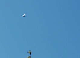 Над Старожиловским районом заметили летящий в сторону Рязани беспилотник