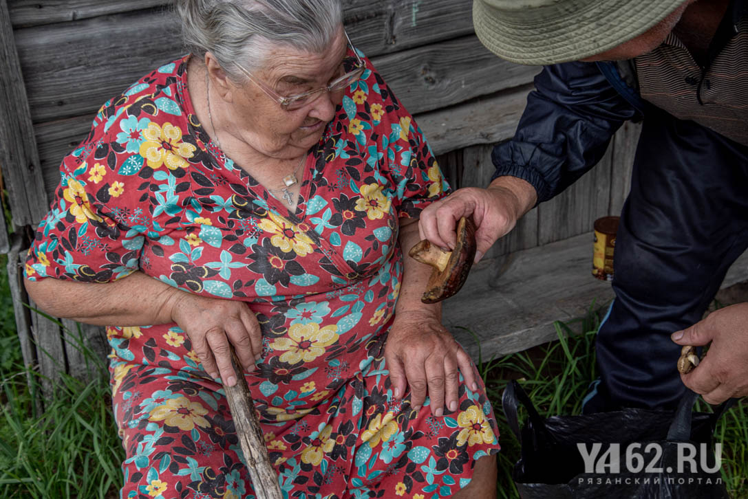 Фото 9 грибной урожай села Свищево.JPG