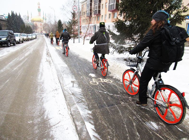 17 велодорожки зимой (Бартек Коморовски).jpg