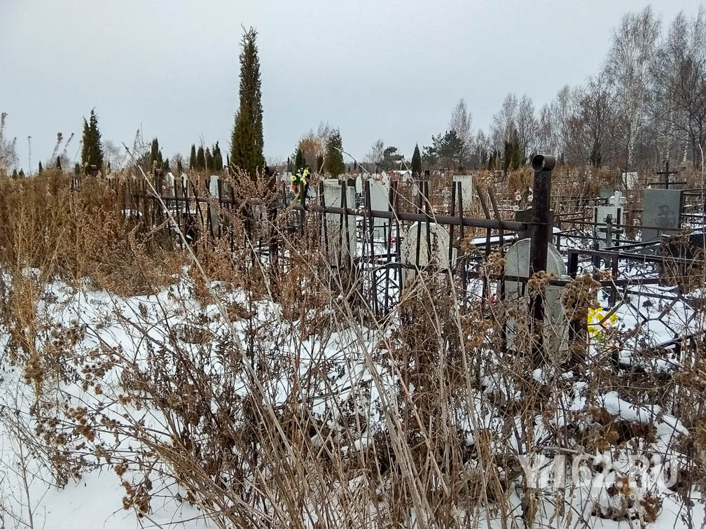 Фото 7 Кладбище с отсутствующими секциями забора.JPG
