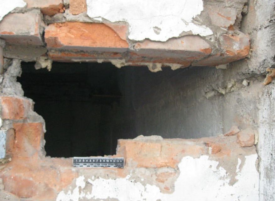В Новомичуринске воровка, раздевшись, пролезла в дом через щель в стене