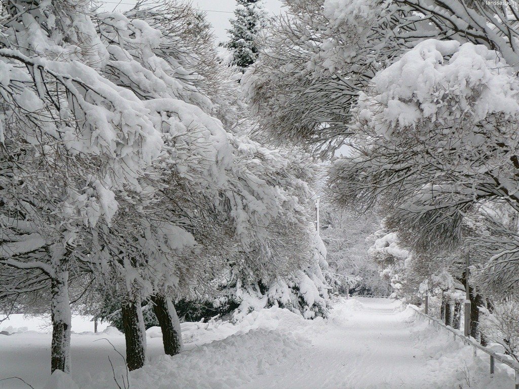 В  Рязанской области ожидаются снег, туман и гололедица