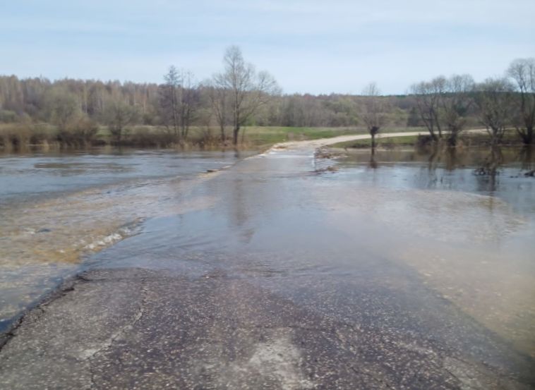 В Рязанской области подтопило мост у Скита Свято-Данилова монастыря