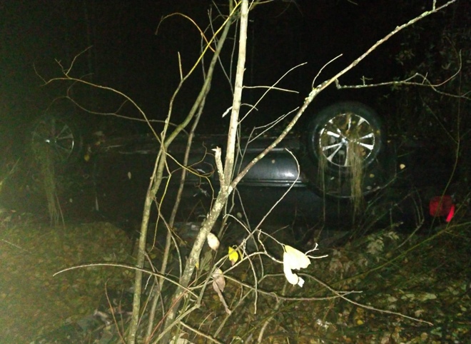В Скопинском районе иномарка улетела в кювет, водитель погиб