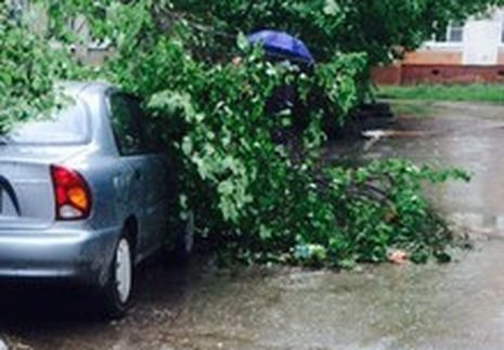 В Рязани во время грозы дерево упало на Chevrolet Lanos